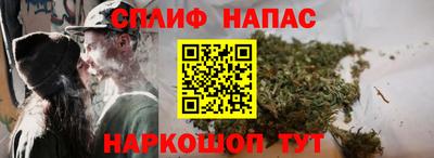 винт Тара