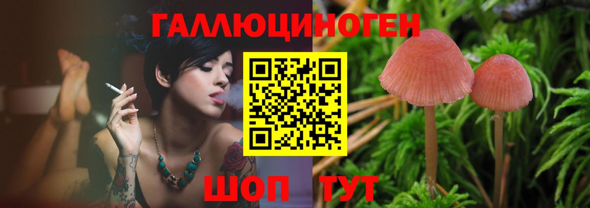 Псилоцибиновые грибы мицелий Сарапул